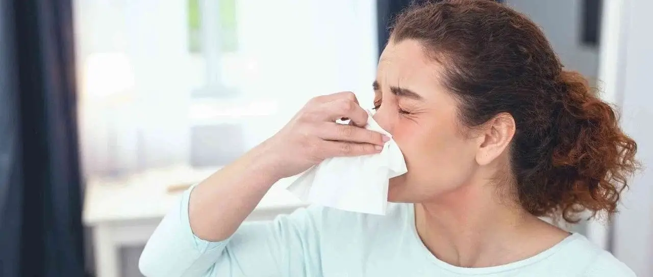 What is the Recently Popular ‘Stapokibart’? I Suggest You Learn About It